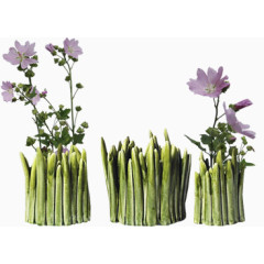 绿色树根形状花瓶