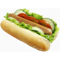面包红肠热狗汉堡