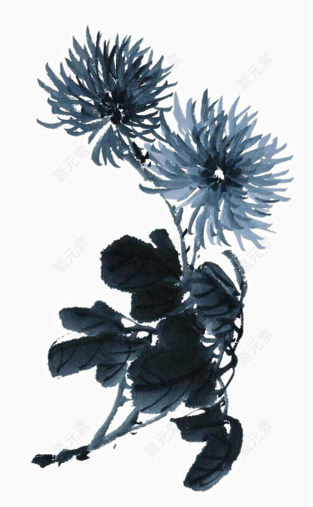写意菊花