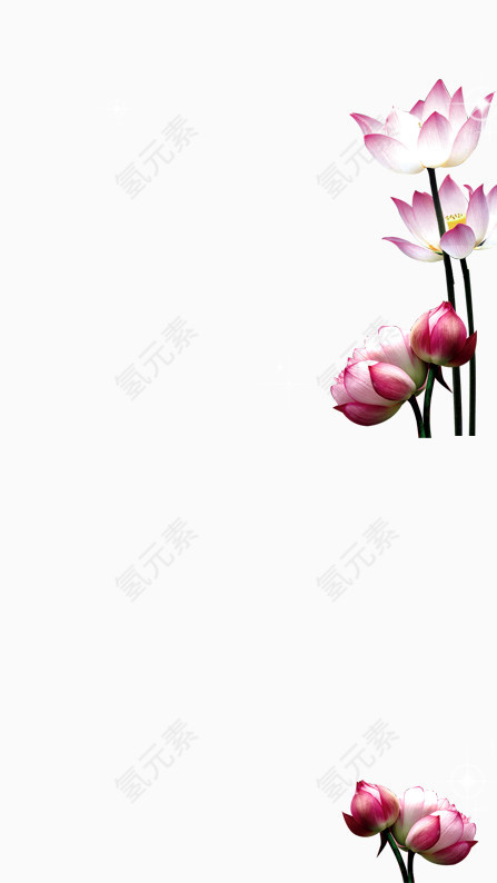 团圆花