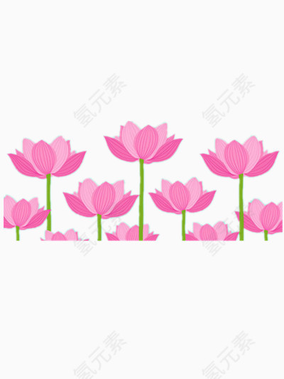 荷花卡通图