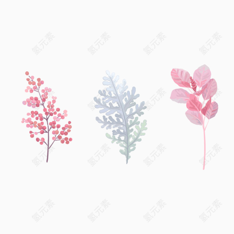 手绘植物