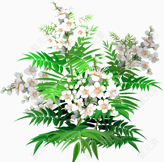 花树