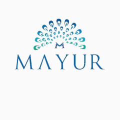 孔雀开屏形象设计标志