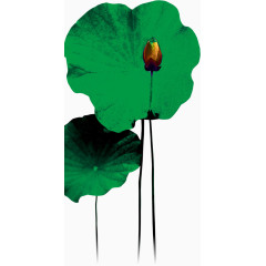 水彩画手绘碧绿莲叶