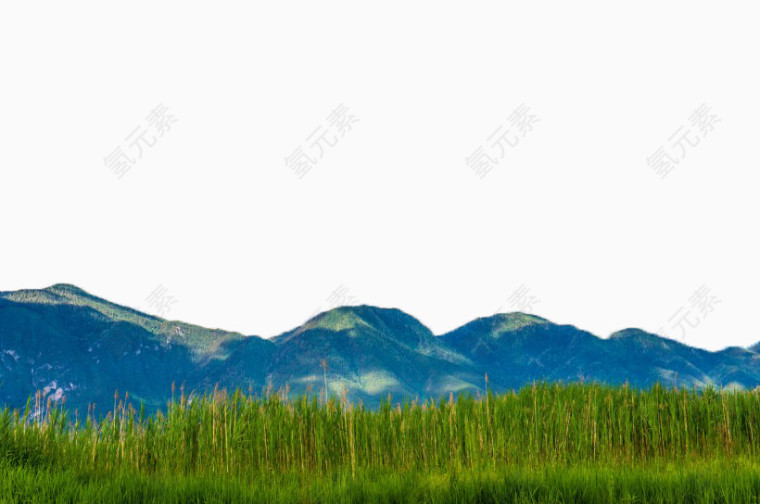 泸沽湖草海风景二