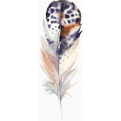 羽毛素材羽毛图案