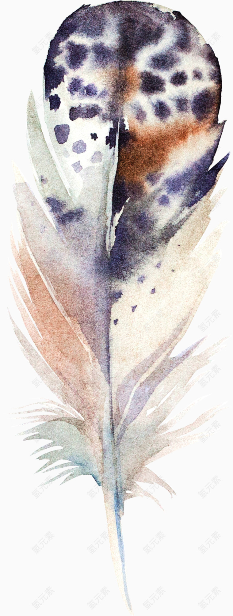 羽毛素材羽毛图案