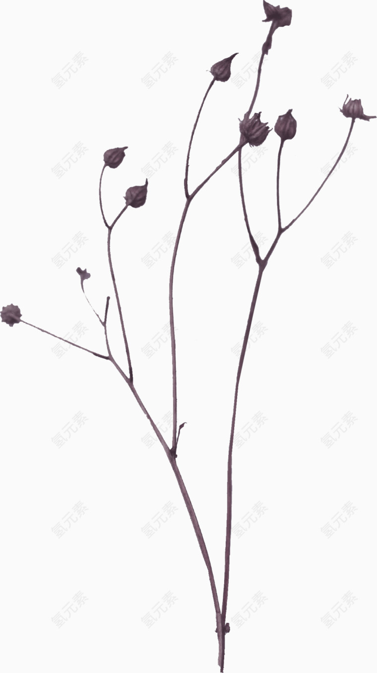 花卉背景素材创意花卉图片