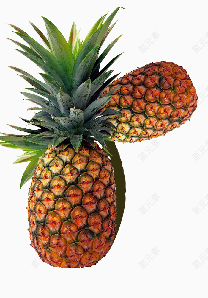金黄大菠萝素材