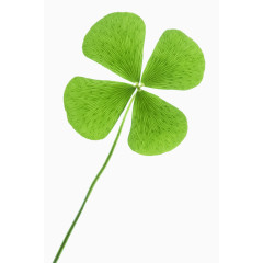 卡通手绘四叶草