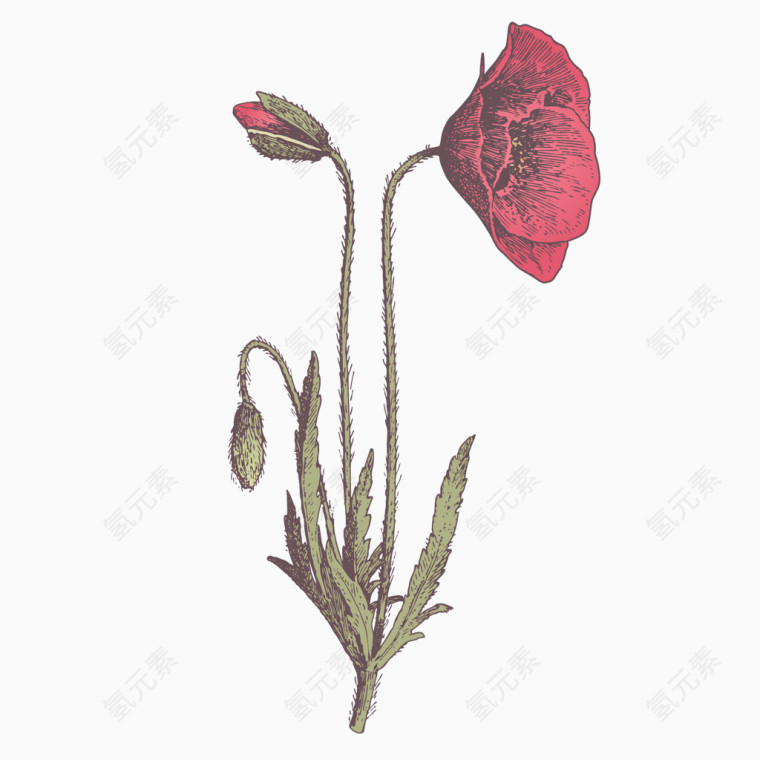 手绘鲜花图片背景元素