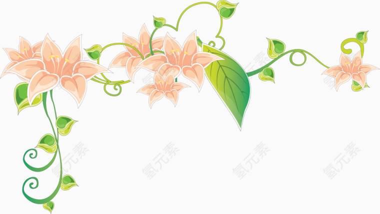 百合花藤蔓
