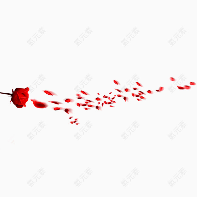 红玫瑰花瓣
