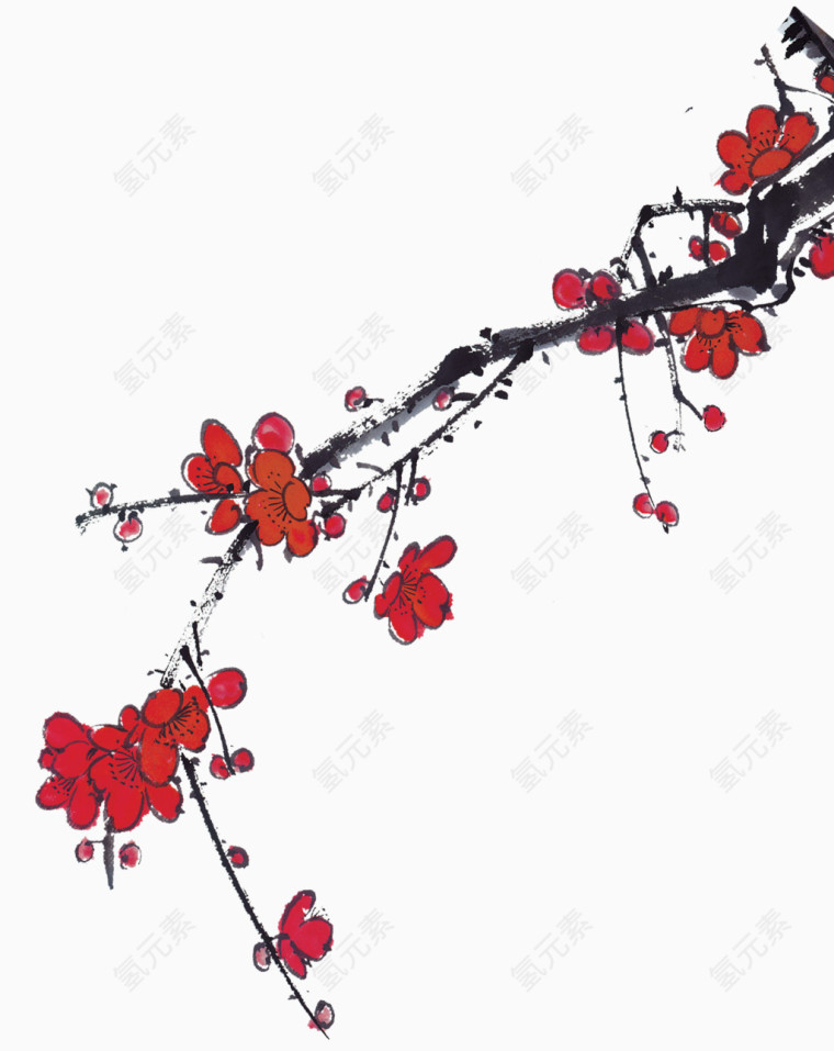 树枝花朵