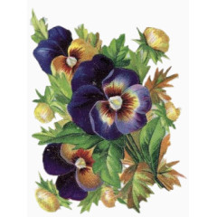 手绘卡通花图片森林系素材