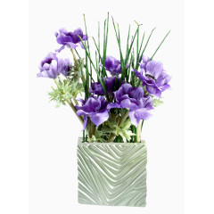 效果元素  花卉