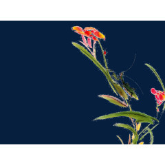 水墨花枝上的蟋蟀