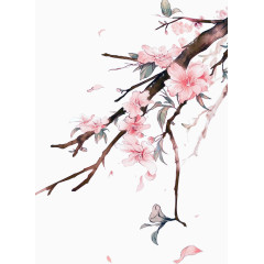 手绘桃花