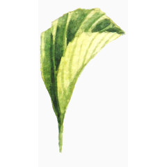 手绘水彩画