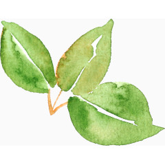水彩绿叶