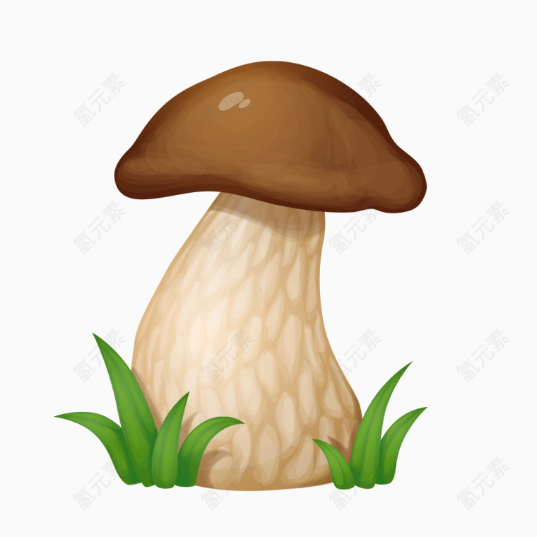 卡通精美蘑菇素材