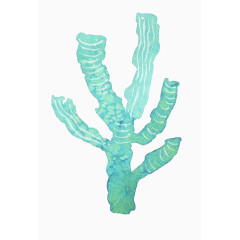 药材深山铁皮枫斗石斛