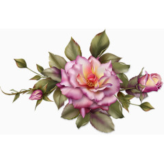 水彩花草花草插画