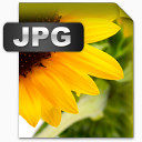 橙色报警橙色警报