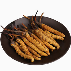 中药材道地虫草