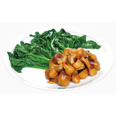 产品实物野蘑烧菜心