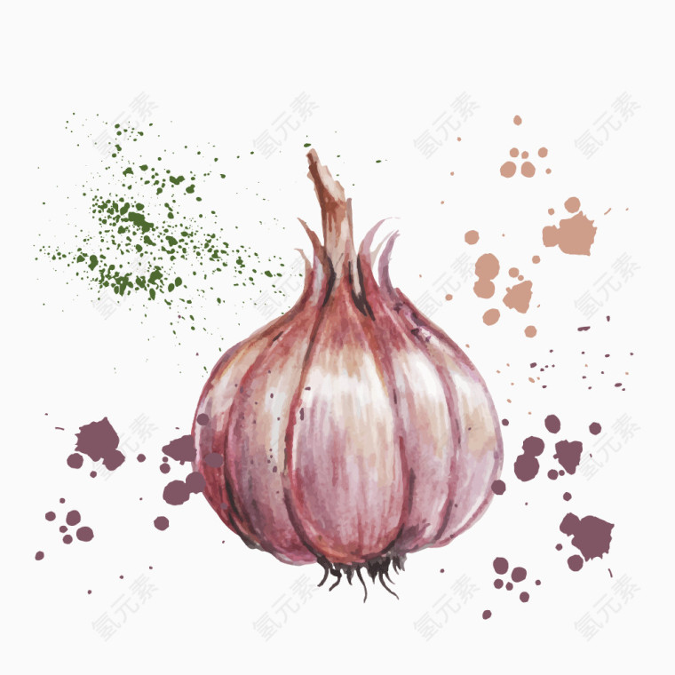 手绘蔬菜