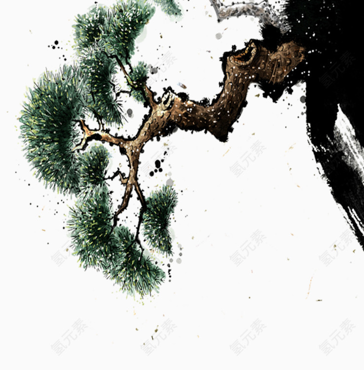 青松手绘插画
