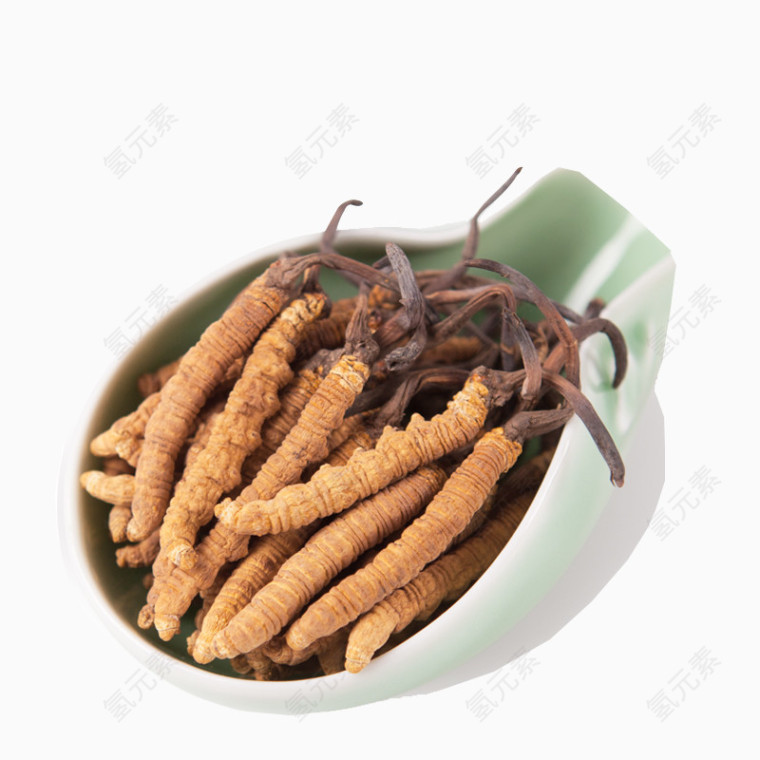 中药纯天然冬虫夏草