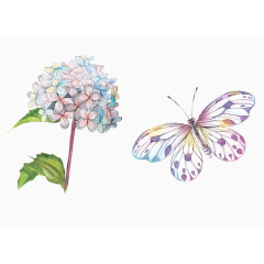 唯美手绘彩色花卉