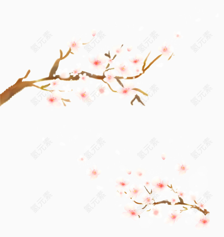 清新枝头樱花