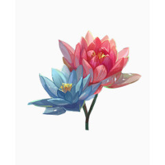 手绘粉色蓝色荷花