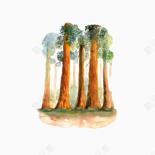 树林图片免抠素材