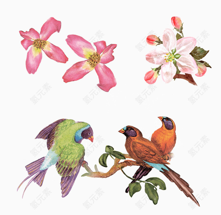 唯美手绘彩色花卉