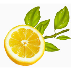 手绘可口柠檬