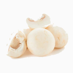 口菇免扣png图片