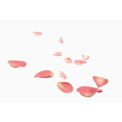 飘落的花瓣