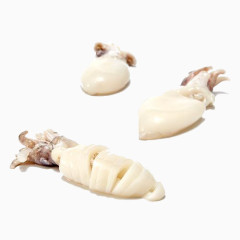 墨斗鱼仔免扣素材