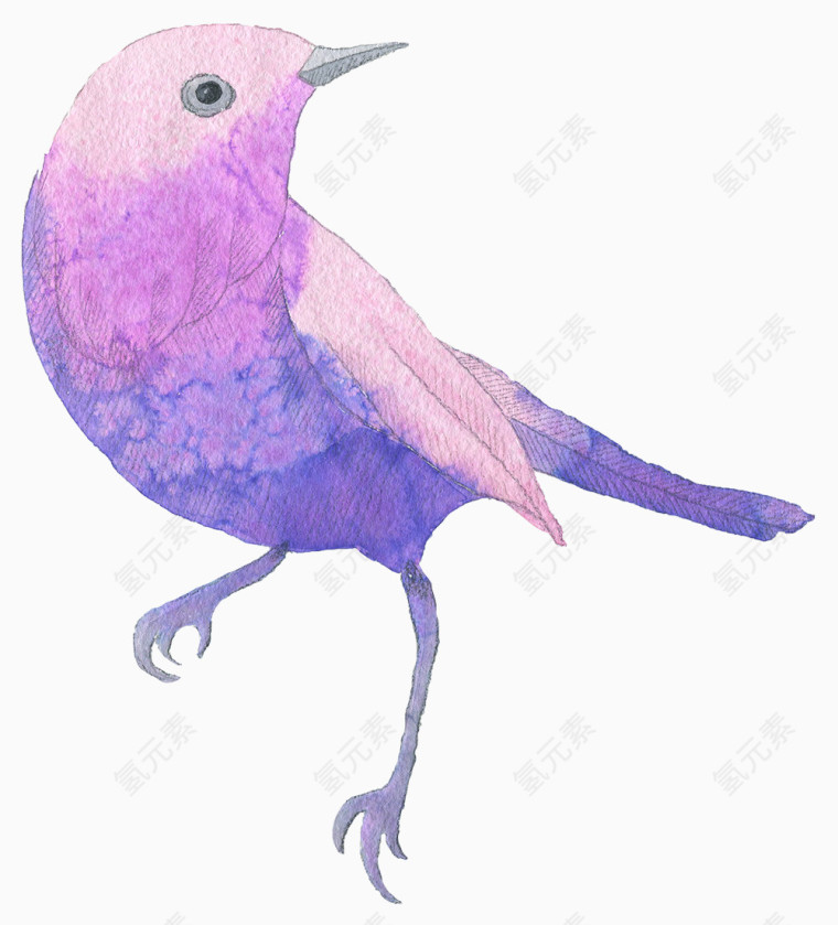 小鸟