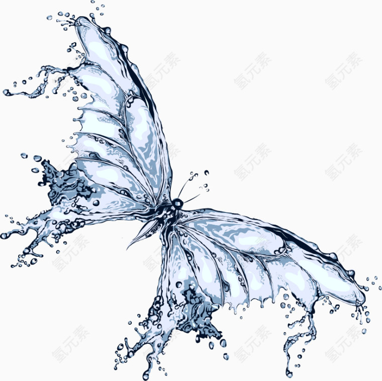 水蝴蝶