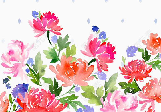水彩花卉