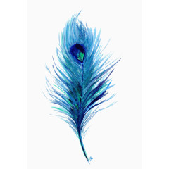 卡通手绘蓝色羽毛