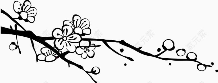 素描梅花花苞