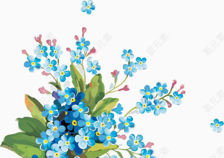 蓝色小花