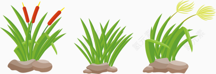 卡通矢量绿色植物猫草